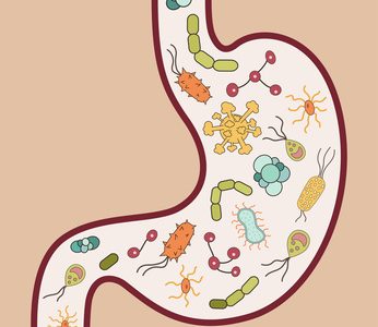 Leaky Gut